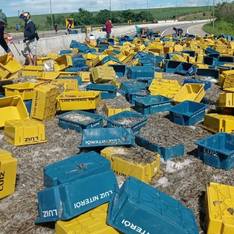 Caminhão carregado de camarão tomba e interdita BR-101