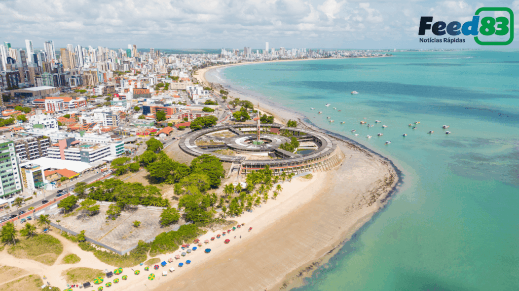 Senado aprova guarda compartilhada de pets em separações