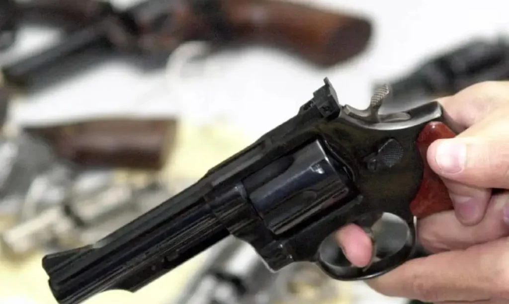 Comissão aprova uso do FGTS para compra de arma no país
