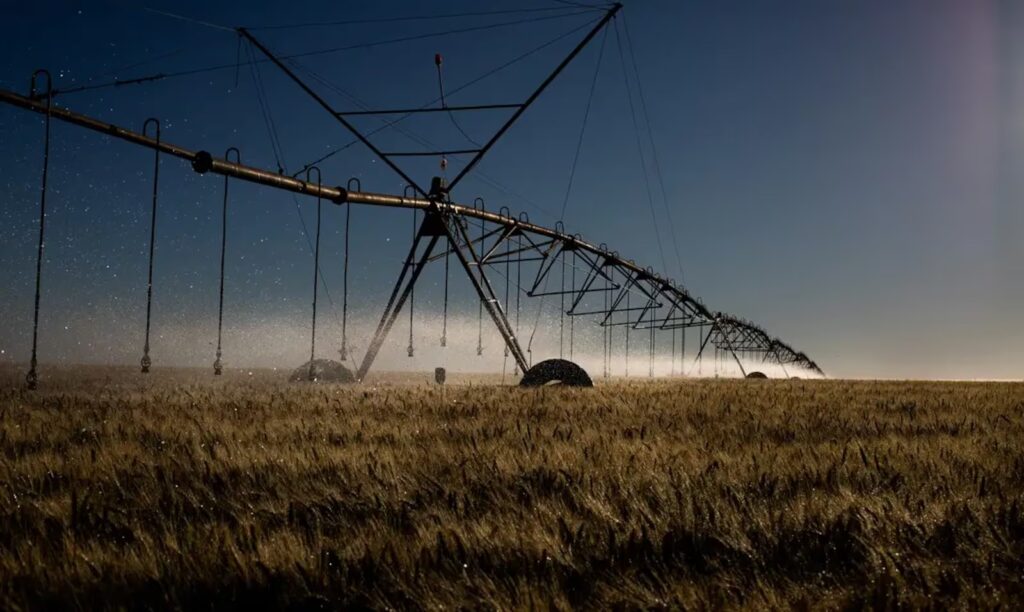 Veto da UE e plano chinês pressionam agro brasileiro