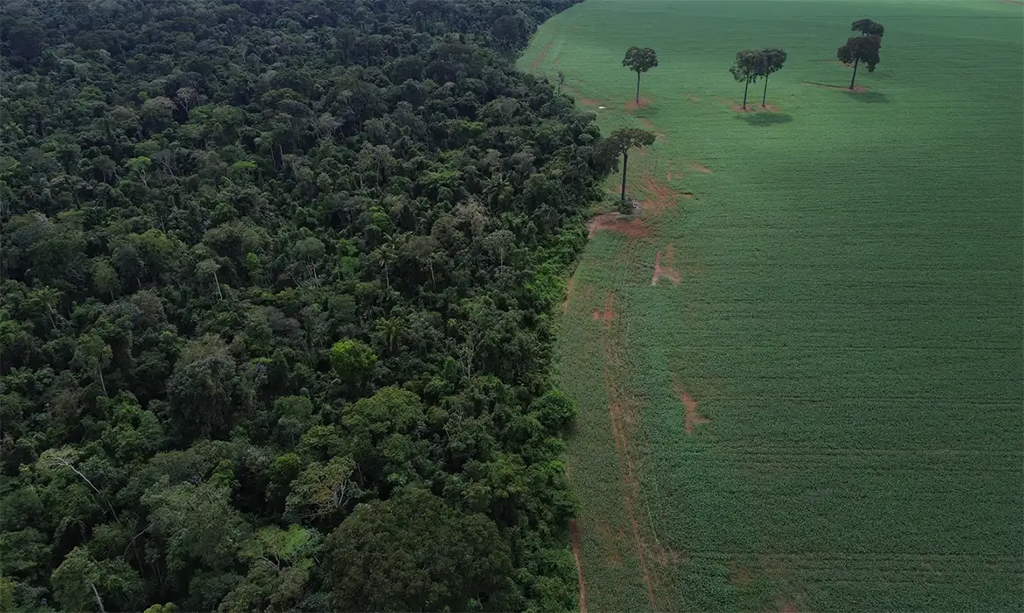 Plano mobiliza R$ 500 bilhões para financiamento sustentável