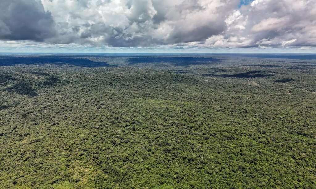 Noruega e Brasil: adversário no campo e parceiro ambiental