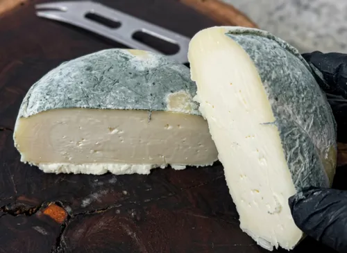 Queijo Aventureiro da Paraíba conquista ouro em Araxá